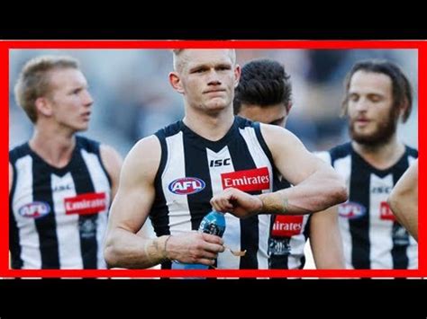 collingwood magpies breaking news today